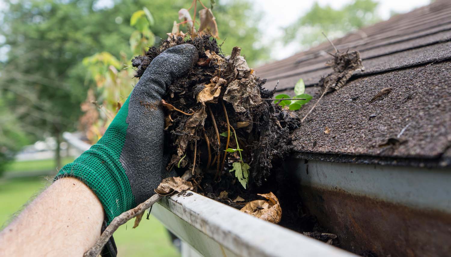 hand with a glove holding material that was clogging a gutter