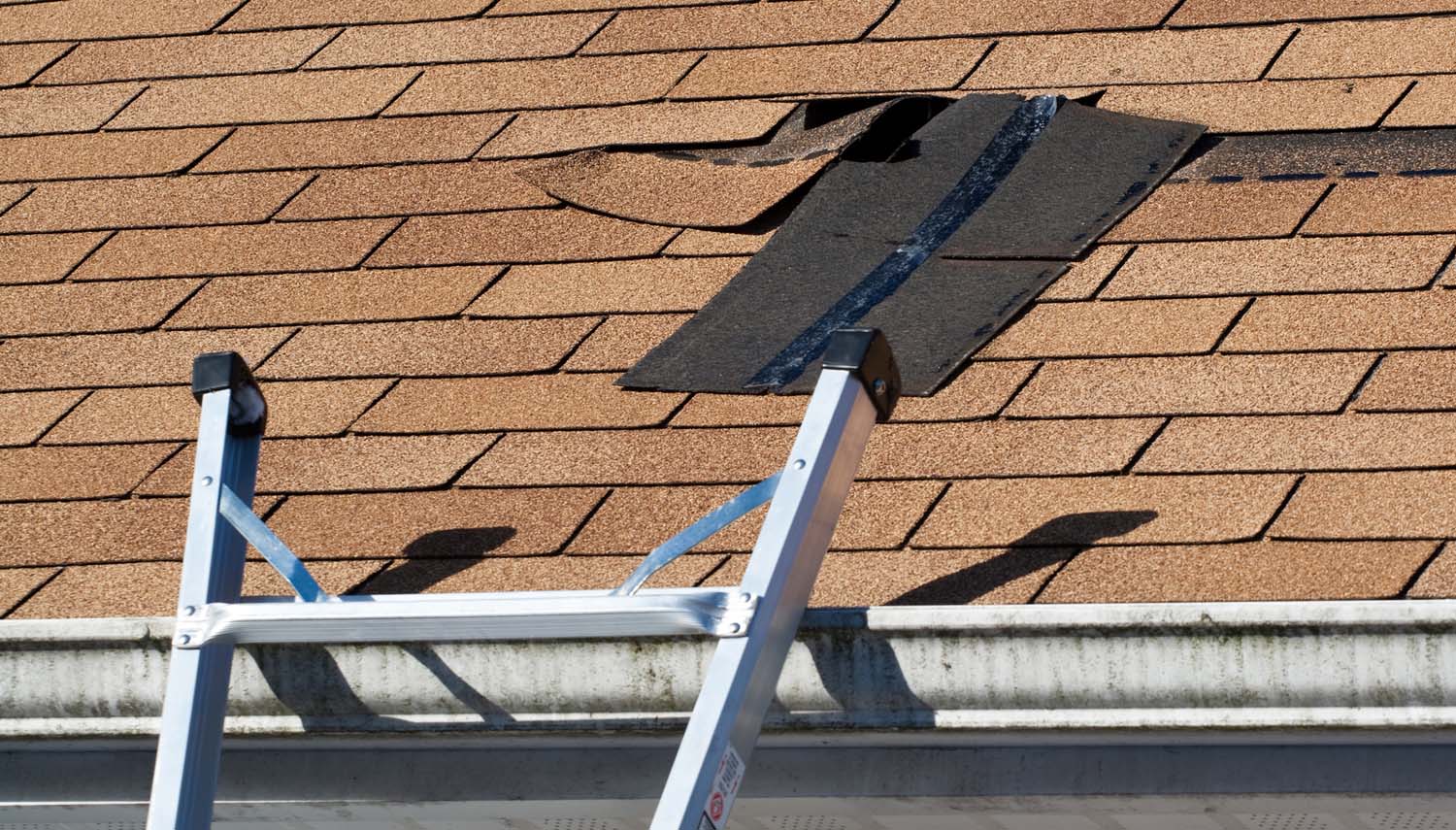 close up view of a shingle roof that needs repairing